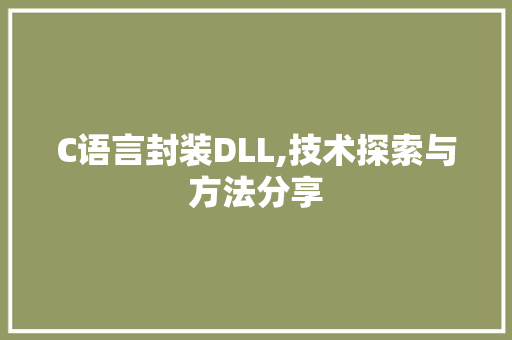 C语言封装DLL,技术探索与方法分享 必应SEO