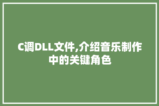 C调DLL文件,介绍音乐制作中的关键角色 百度SEO