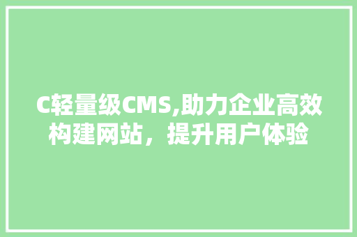 C轻量级CMS,助力企业高效构建网站，提升用户体验 GoogleSEO