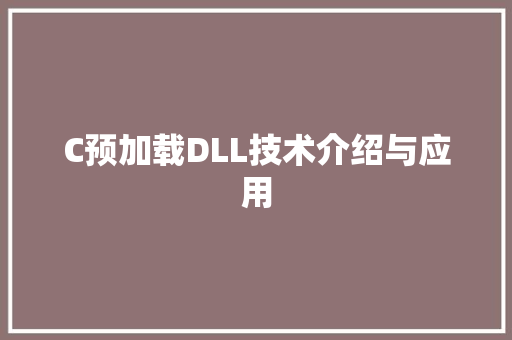 C预加载DLL技术介绍与应用 必应SEO