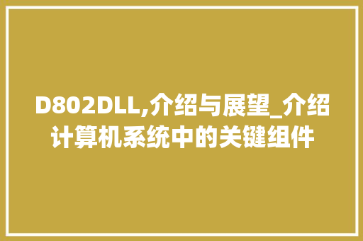 D802DLL,介绍与展望_介绍计算机系统中的关键组件 百度SEO