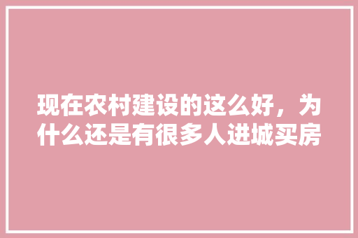 现在农村建设的这么好，为什么还是有很多人进城买房「为什么建设商城要收费」 现在农村建设的这么好，为什么还是有很多人进城买房「为什么建设商城要收费」 GoogleSEO