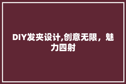 DIY发夹设计,创意无限，魅力四射 GoogleSEO