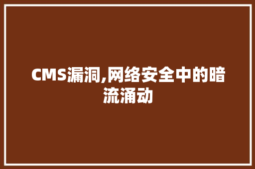 CMS漏洞,网络安全中的暗流涌动 GoogleSEO
