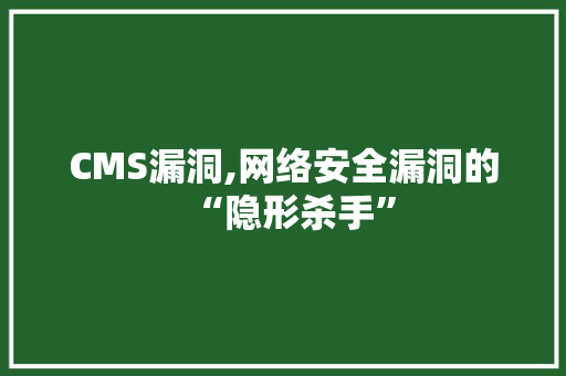 CMS漏洞,网络安全漏洞的“隐形杀手” 神马SEO