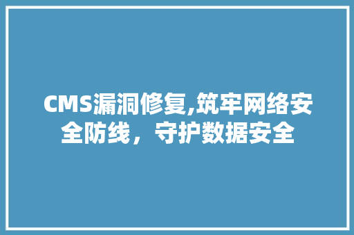 CMS漏洞修复,筑牢网络安全防线，守护数据安全 搜狗SEO