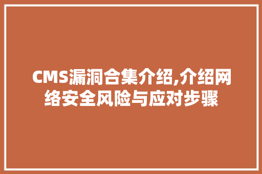 CMS漏洞合集介绍,介绍网络安全风险与应对步骤 必应SEO