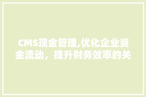 CMS现金管理,优化企业资金流动，提升财务效率的关键步骤 必应SEO