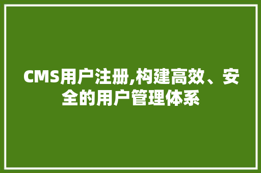 CMS用户注册,构建高效、安全的用户管理体系 必应SEO
