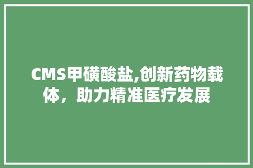CMS甲磺酸盐,创新药物载体，助力精准医疗发展 神马SEO