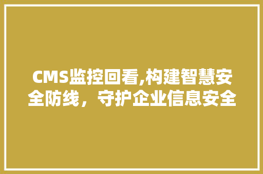 CMS监控回看,构建智慧安全防线，守护企业信息安全 必应SEO