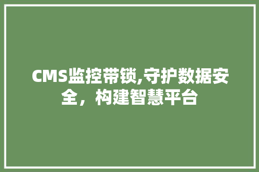 CMS监控带锁,守护数据安全，构建智慧平台 百度SEO