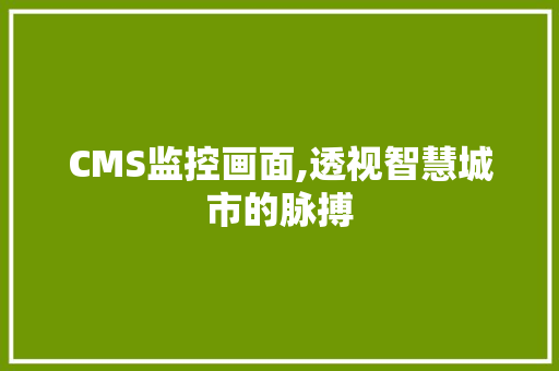 CMS监控画面,透视智慧城市的脉搏 神马SEO
