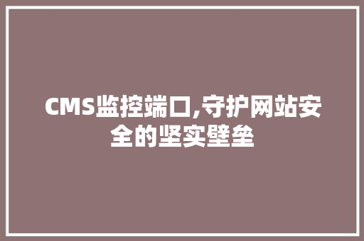 CMS监控端口,守护网站安全的坚实壁垒 必应SEO
