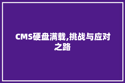 CMS硬盘满载,挑战与应对之路 GoogleSEO