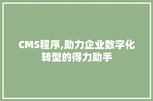 CMS程序,助力企业数字化转型的得力助手 必应SEO