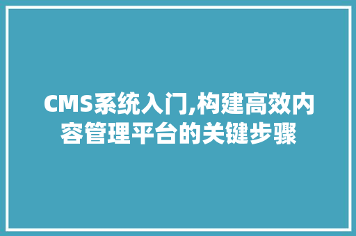 CMS系统入门,构建高效内容管理平台的关键步骤 必应SEO