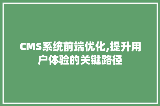CMS系统前端优化,提升用户体验的关键路径 GoogleSEO