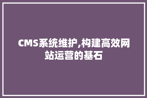 CMS系统维护,构建高效网站运营的基石 GoogleSEO