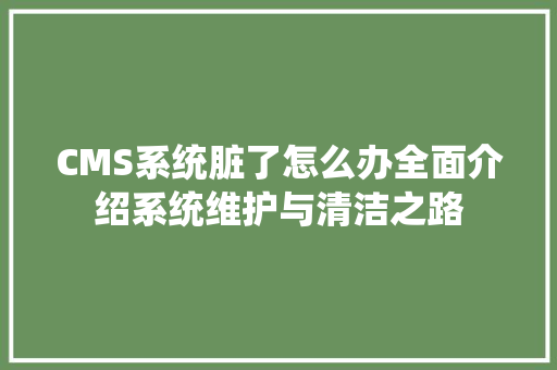CMS系统脏了怎么办全面介绍系统维护与清洁之路 必应SEO