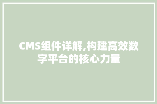 CMS组件详解,构建高效数字平台的核心力量 必应SEO