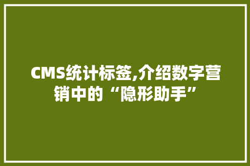 CMS统计标签,介绍数字营销中的“隐形助手” 神马SEO