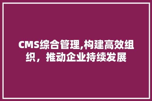 CMS综合管理,构建高效组织，推动企业持续发展 神马SEO