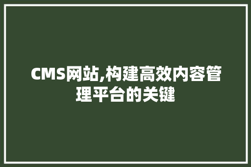 CMS网站,构建高效内容管理平台的关键 必应SEO