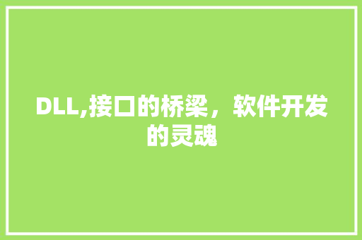 DLL,接口的桥梁，软件开发的灵魂