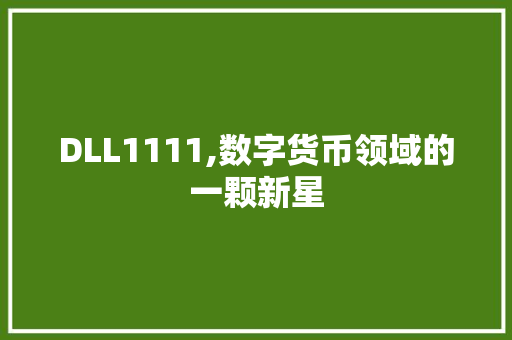 DLL1111,数字货币领域的一颗新星 神马SEO
