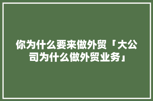 你为什么要来做外贸「大公司为什么做外贸业务」 你为什么要来做外贸「大公司为什么做外贸业务」 百度SEO