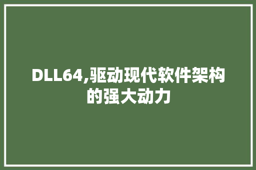 DLL64,驱动现代软件架构的强大动力 GoogleSEO