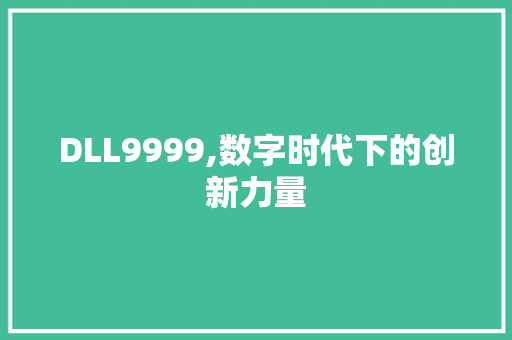 DLL9999,数字时代下的创新力量 神马SEO