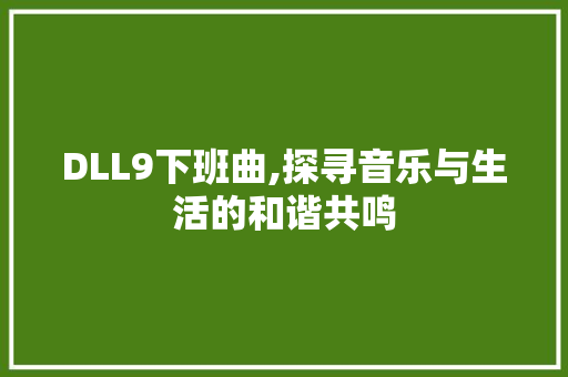 DLL9下班曲,探寻音乐与生活的和谐共鸣 神马SEO