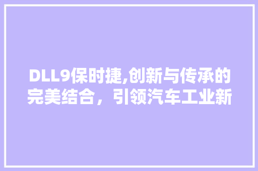 DLL9保时捷,创新与传承的完美结合，引领汽车工业新潮流 搜狗SEO