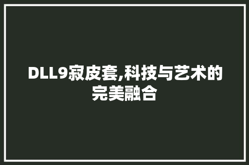 DLL9寂皮套,科技与艺术的完美融合 GoogleSEO