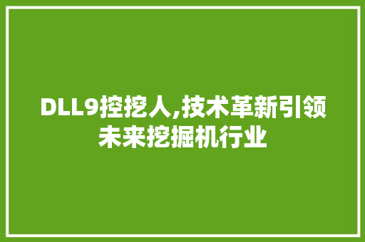 DLL9控挖人,技术革新引领未来挖掘机行业 神马SEO