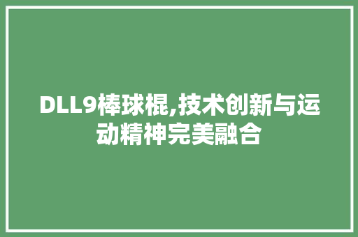 DLL9棒球棍,技术创新与运动精神完美融合 GoogleSEO