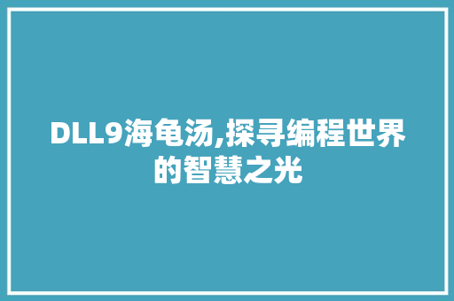 DLL9海龟汤,探寻编程世界的智慧之光 百度SEO