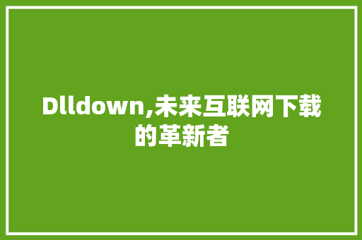 Dlldown,未来互联网下载的革新者 百度SEO