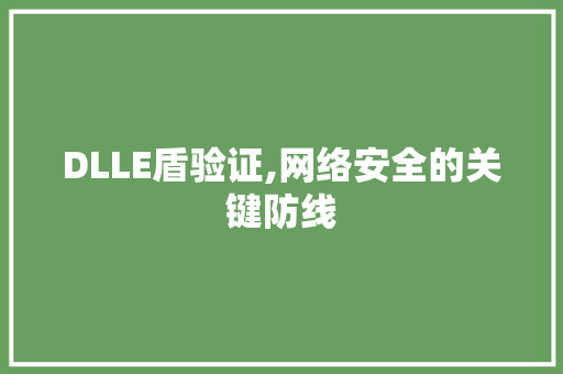 DLLE盾验证,网络安全的关键防线 百度SEO
