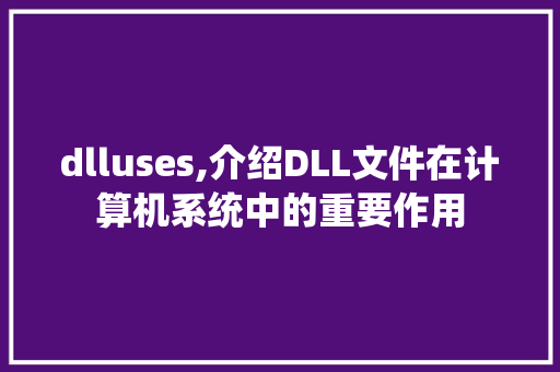 dlluses,介绍DLL文件在计算机系统中的重要作用 神马SEO