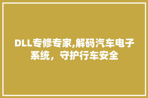 DLL专修专家,解码汽车电子系统，守护行车安全 搜狗SEO