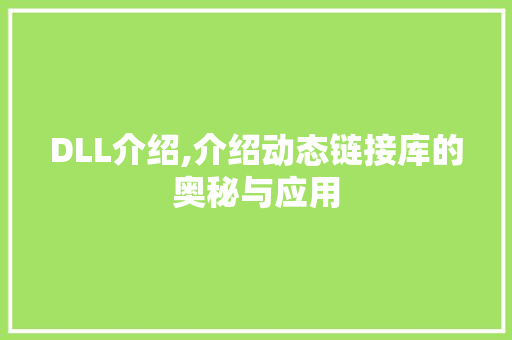 DLL介绍,介绍动态链接库的奥秘与应用 GoogleSEO