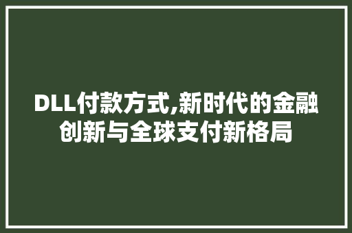 DLL付款方式,新时代的金融创新与全球支付新格局 必应SEO