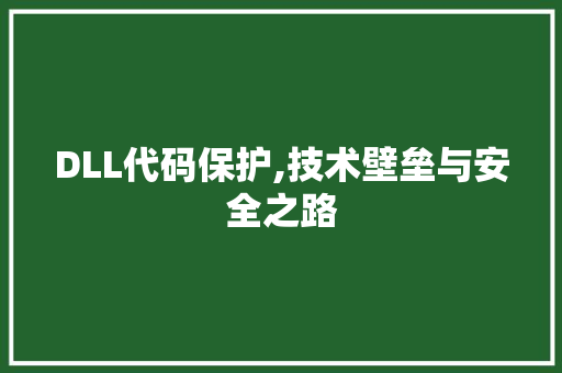 DLL代码保护,技术壁垒与安全之路