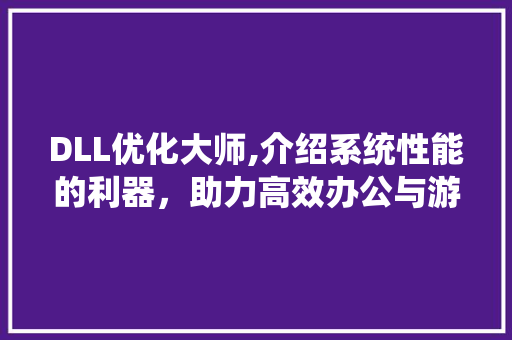 DLL优化大师,介绍系统性能的利器，助力高效办公与游戏体验 神马SEO