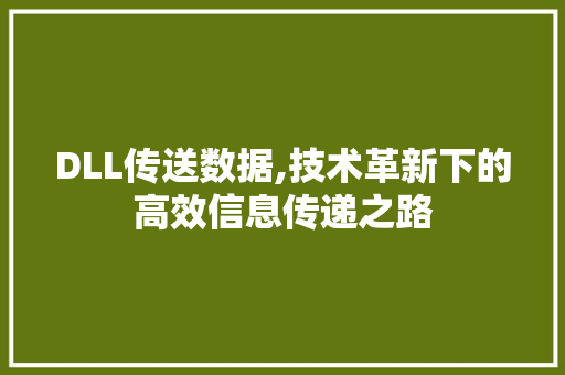 DLL传送数据,技术革新下的高效信息传递之路 必应SEO
