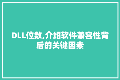 DLL位数,介绍软件兼容性背后的关键因素 必应SEO