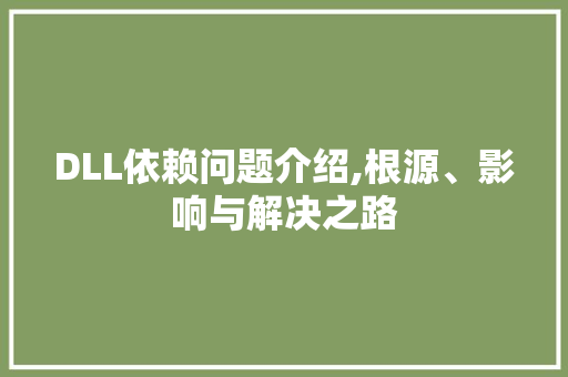 DLL依赖问题介绍,根源、影响与解决之路 GoogleSEO